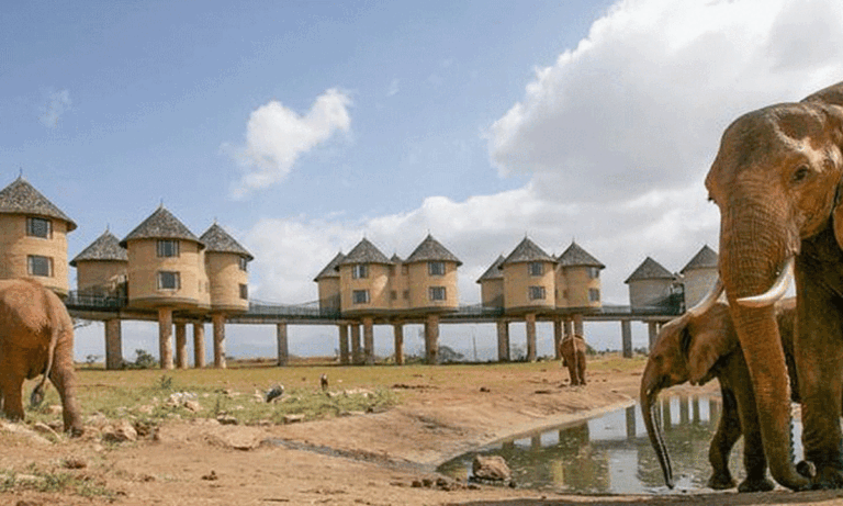 3 giorni 2 notti Tsavo Est, Taita o Tsavo Ovest